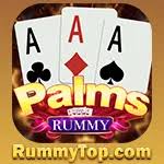 New rummy APP