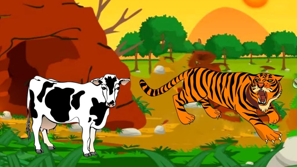 قصة البقرات والنمر